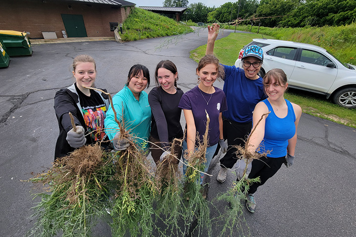 Jane Amstutz on far right and five other people hold invasive plants pulled from the ground.