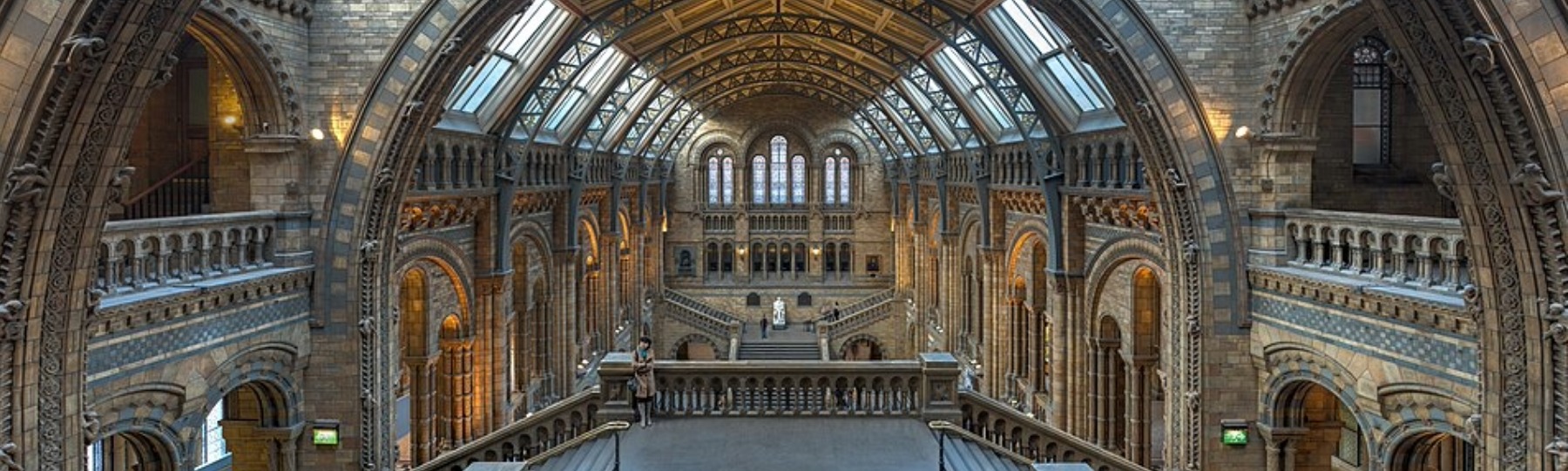 A view inside a natural history museum in London, UK