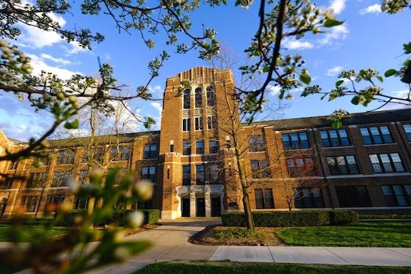 A view of Warriner Hall through tree branches.