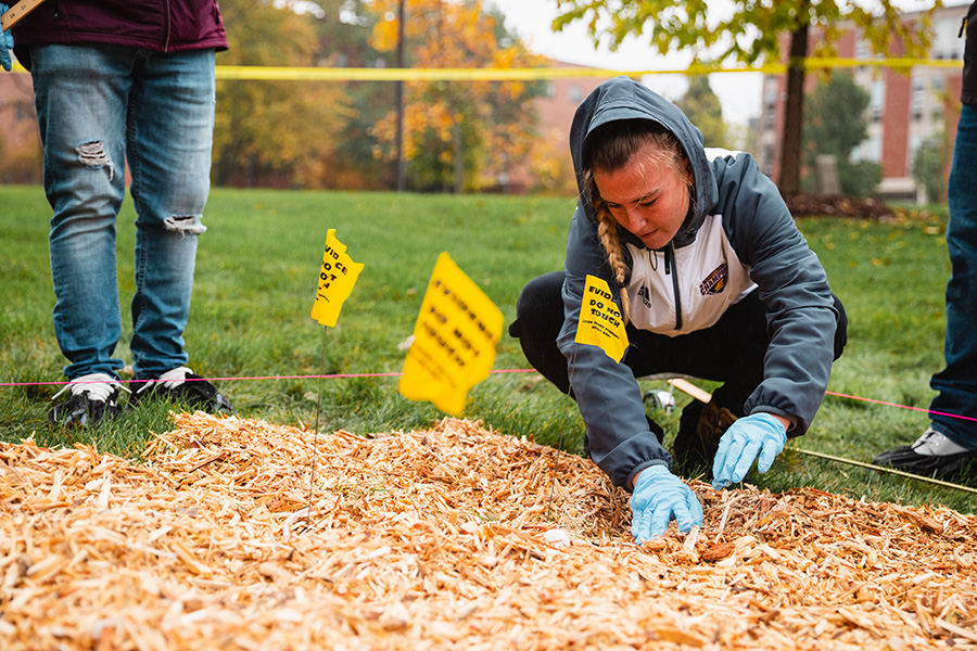 Student wearing gloves and hooded sweatshirt examines ground next to evidence flags.