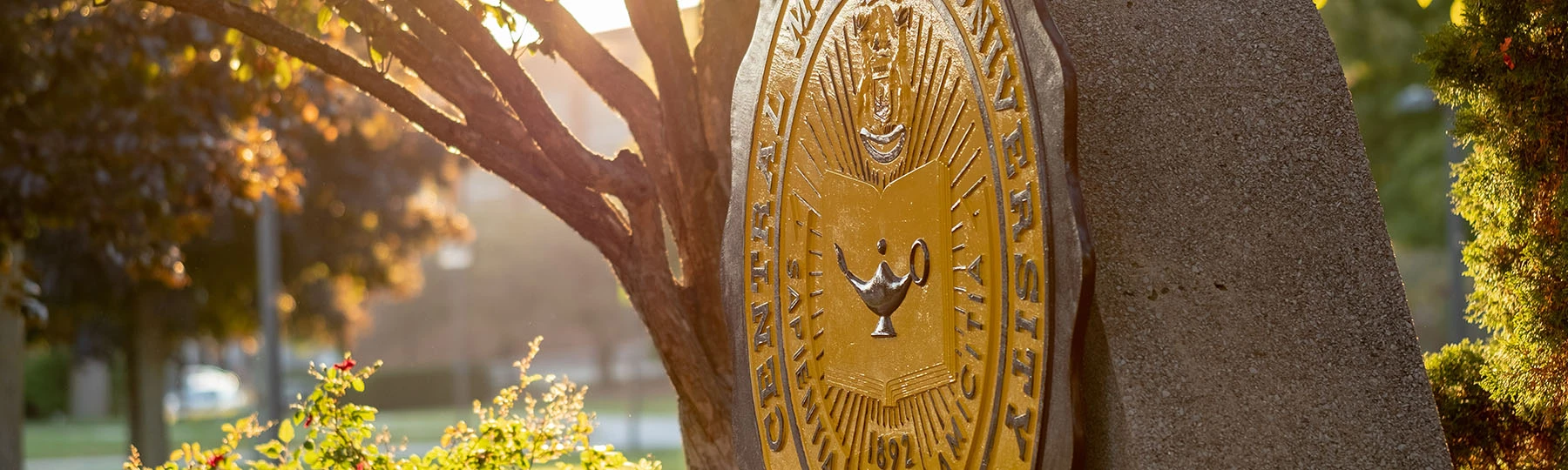 CMU seal at daybreak