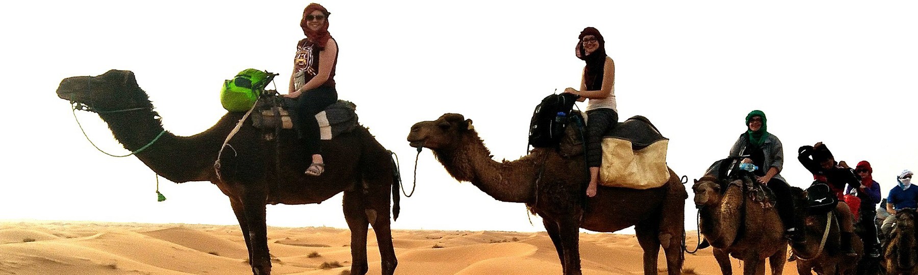 Central Michigan students on camels