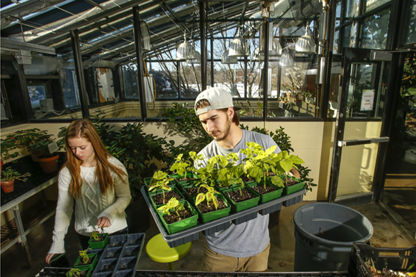 Two students working with and holding potted plants.