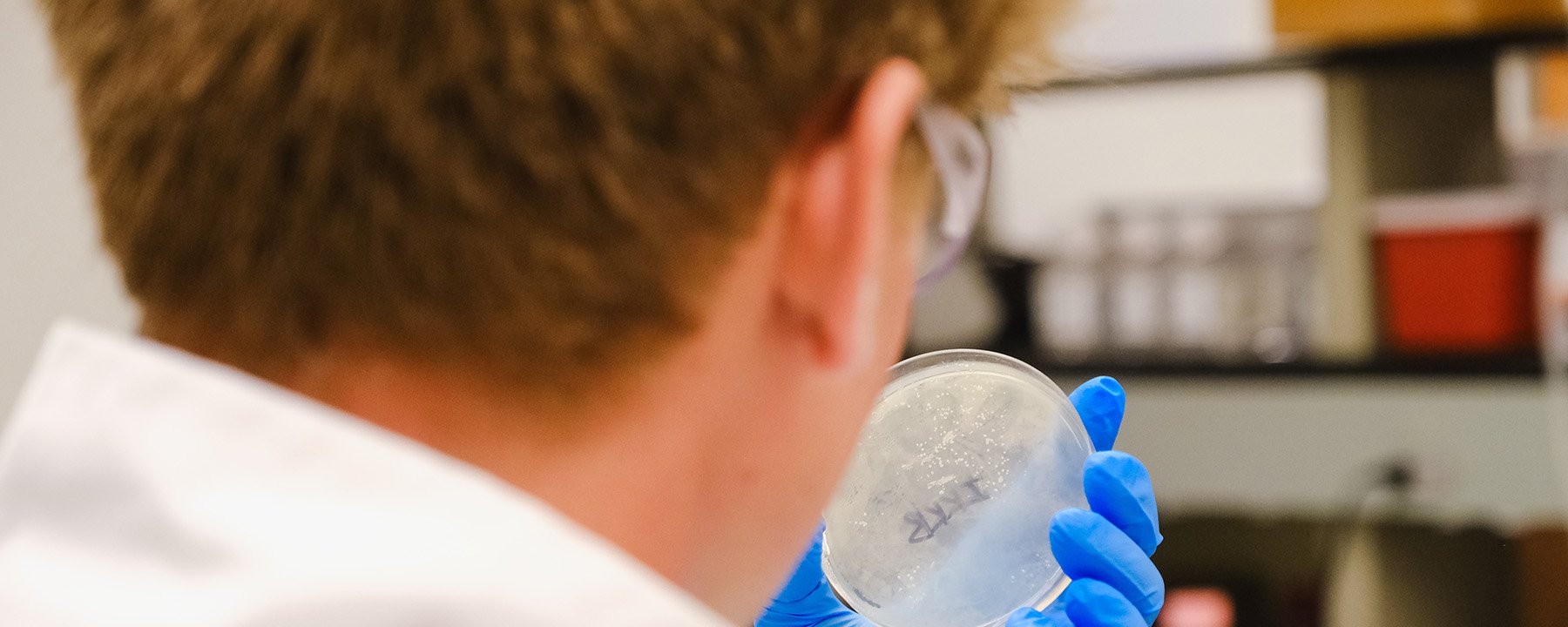 20251015_BIO_PDISH_1800X720