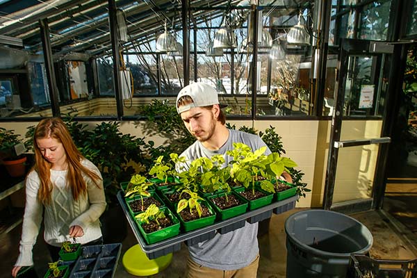 Two biology students in the greenhouse.