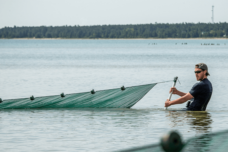 Student managing sampling net, taking animal samples within the Great Lakes