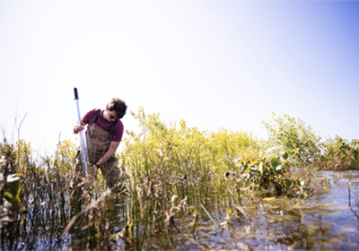 Student collecting samples in a Great Lakes coastal wetland.