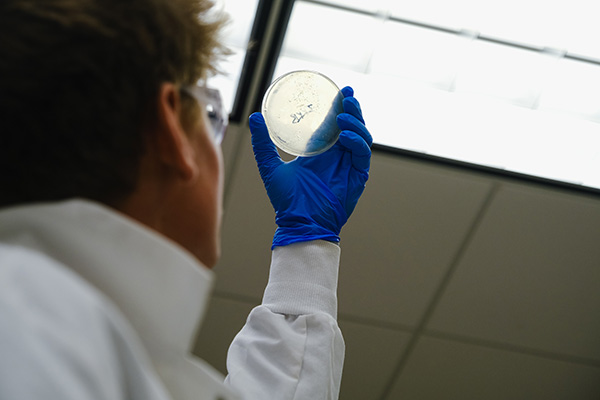 a person holding a petri dish up to the light