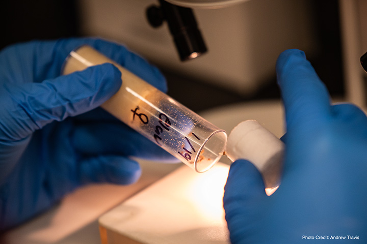 A person holding a labeled test tube a material in it.
