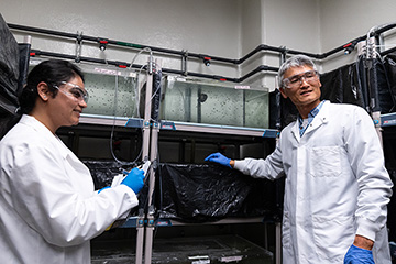 Two people in lab coats and goggles stand in front of a wall of fish tanks.