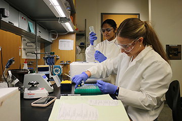 20260209_DijkstraResearch_360x240