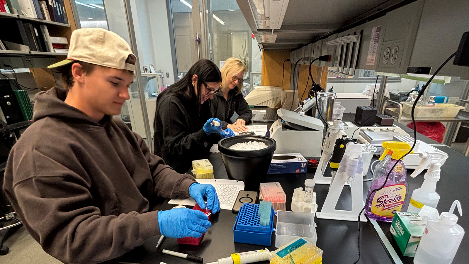 CMU biology professor receives grant to study proteins linked to cancer