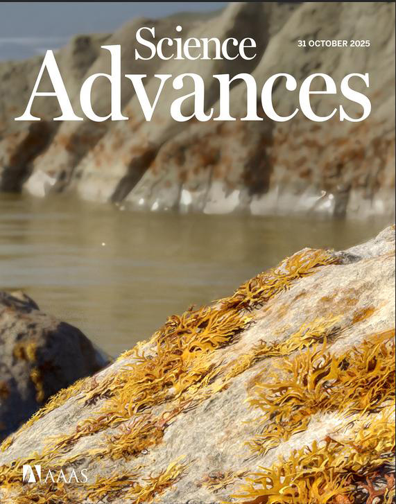 20251105_MagazineCover