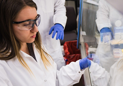 Student examining samples underneath vent hood in medical lab.