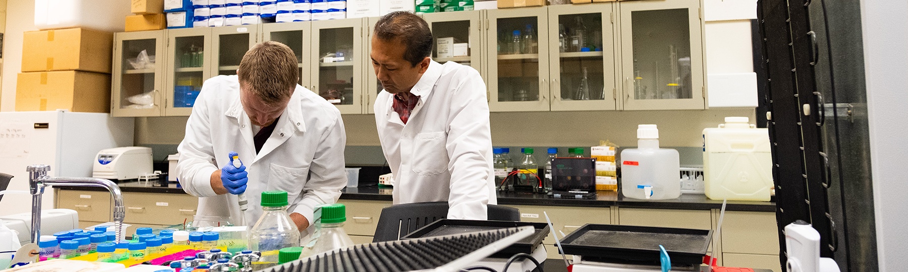 Biochemistry-Cell-Molecular-Biology-PhD-1800X540