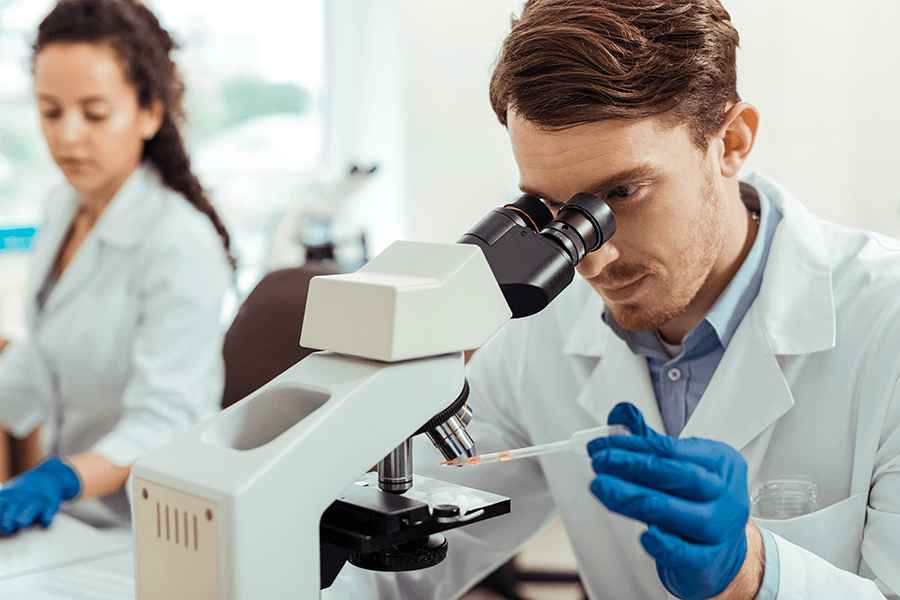 A researcher examines samples under a microscope.