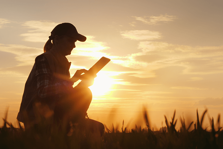 An environmental studies researcher crouches and documents data in the field.