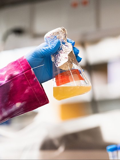 A person holding an erlenmeyer flask that contains liquid and is covered with tinfoil.