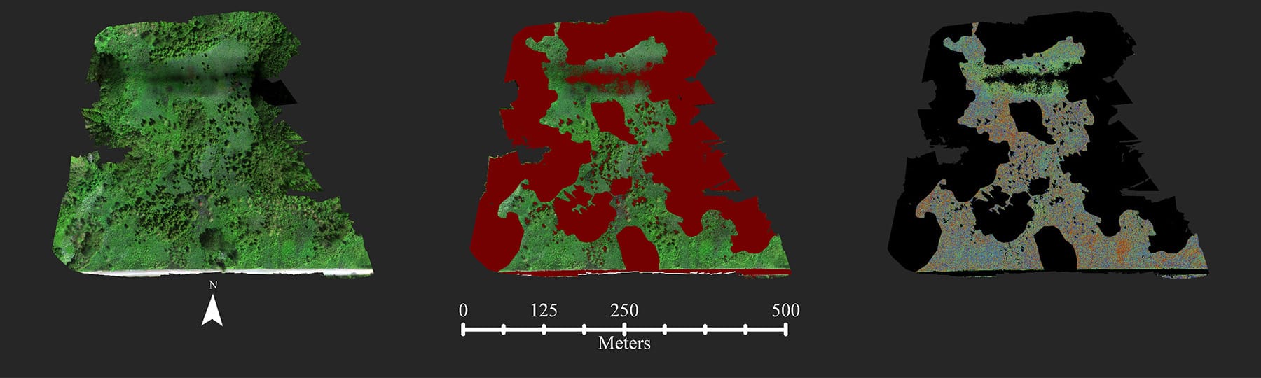 Three geospatial images in green, red and green, and black and grey with a scale labeled Meters.