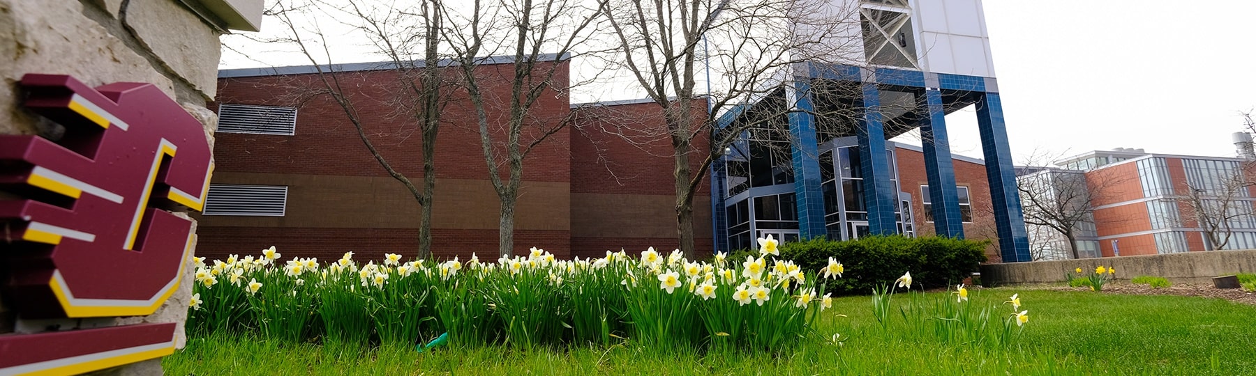 The College of Science and Engineering building with spring flowers in front of it.