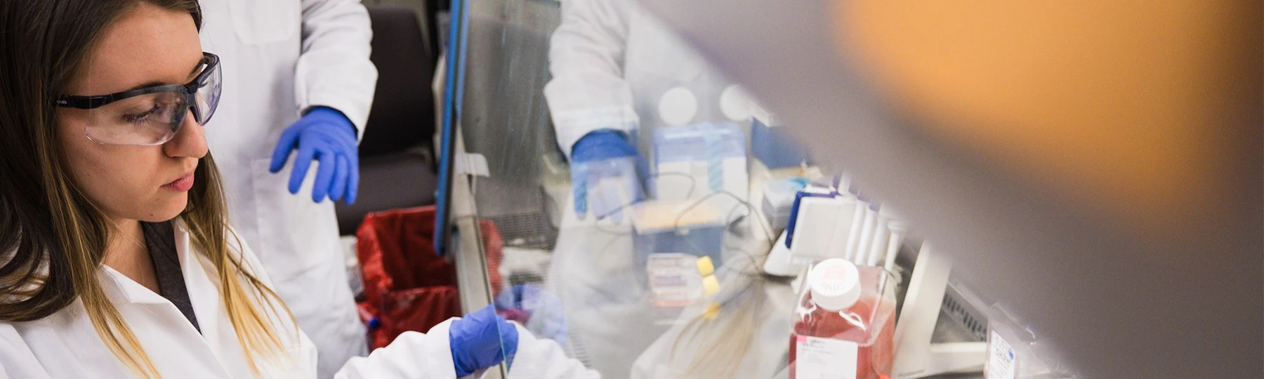 Neuroscience-Major-1800X540