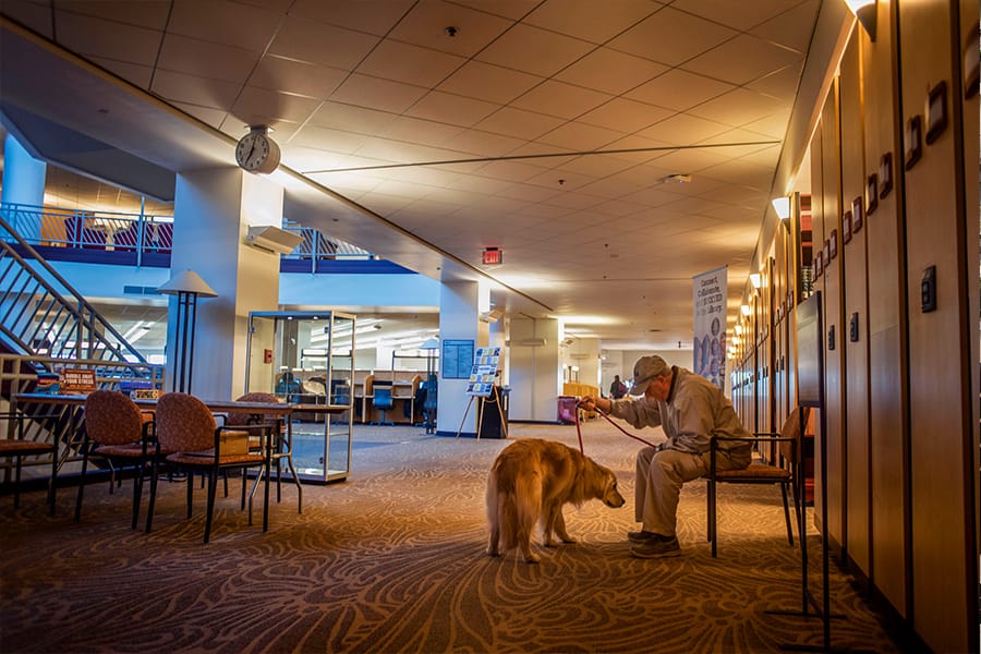 A golden retriever and a man in a baseball cap sit together at Central Michigan University.