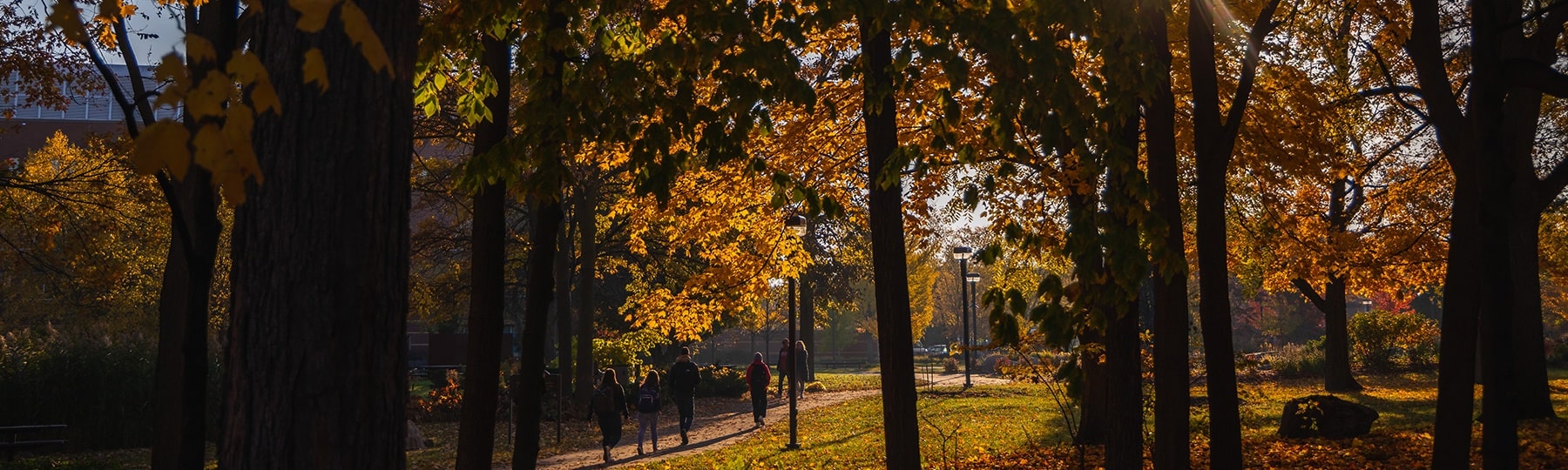 People walking on a path through the trees in the fall at Central Michigan University.