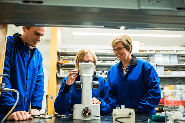 Students examining samples in Jennifer Schisa's lab