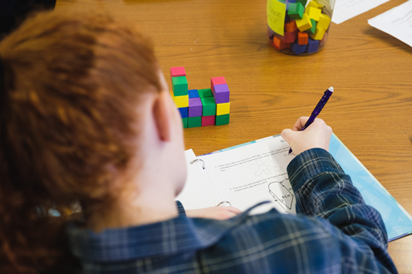 Mathematics Student with notebook and cubes