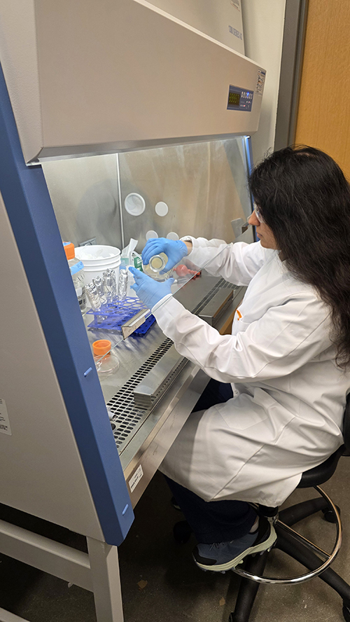 20260609EnvGenomicsLab