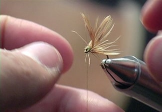 Fly Tying  Central Michigan University