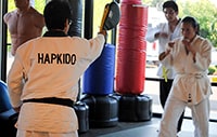 Hapkido