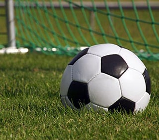 Soccer Ball and net