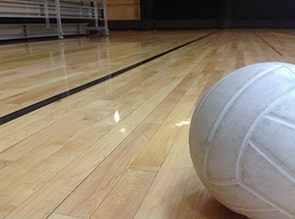 Volleyball on court