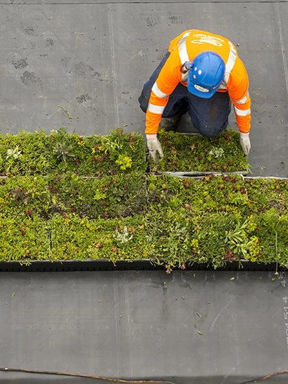 Installing the green roof to CMU's Bio Sciences Building