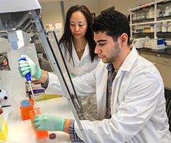 Honors student and Dr. Li working in lab