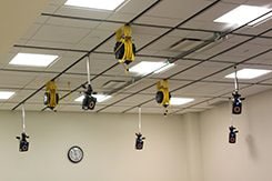 Small cameras