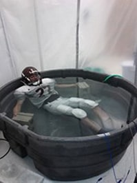 Thermal Physiology Lab