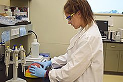 Lab