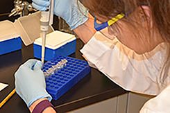 Testing Lab