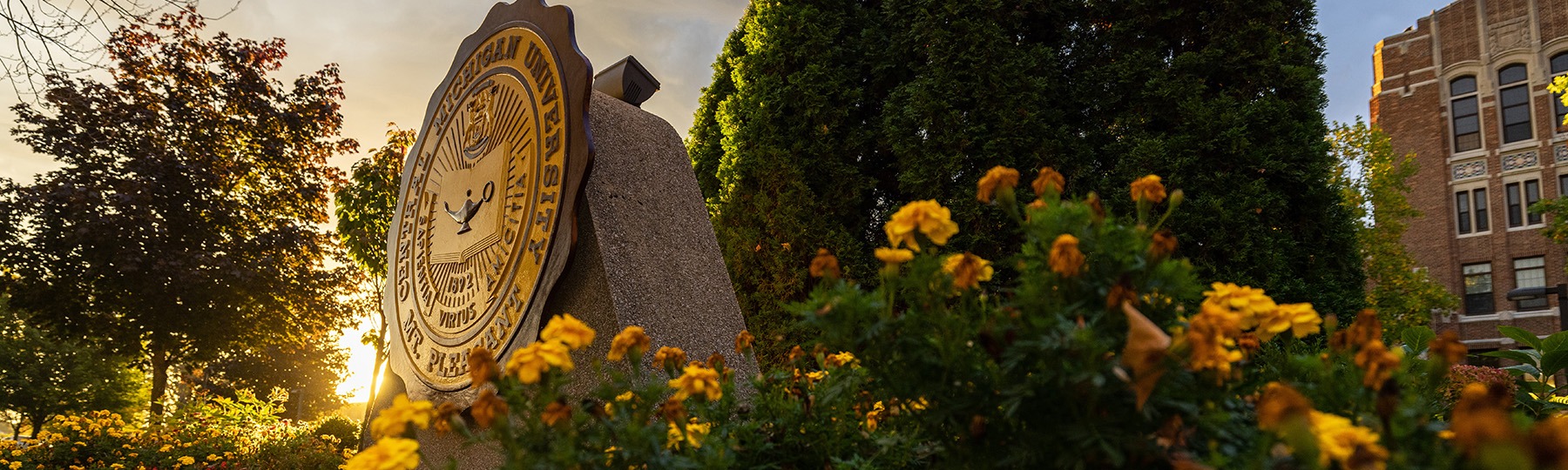 CMU Seal with sunset in background
