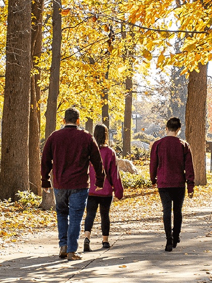 Walking on campus as the leaves change to bright yellow