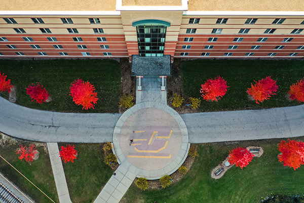 aerial view of courtyard