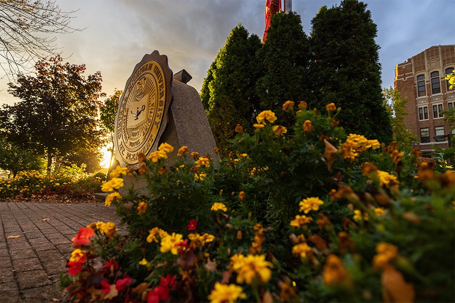 CMU seal with sunset