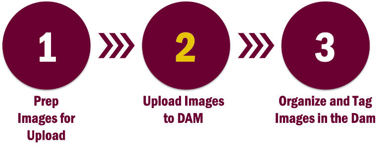 The second step in the working with images process: upload images to DAM