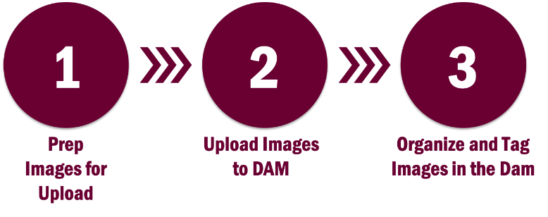 Playbook_DAM_Images_123