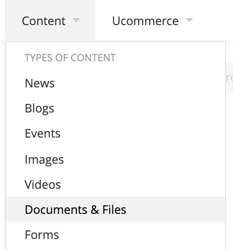Menu for loading documents into the DAM.