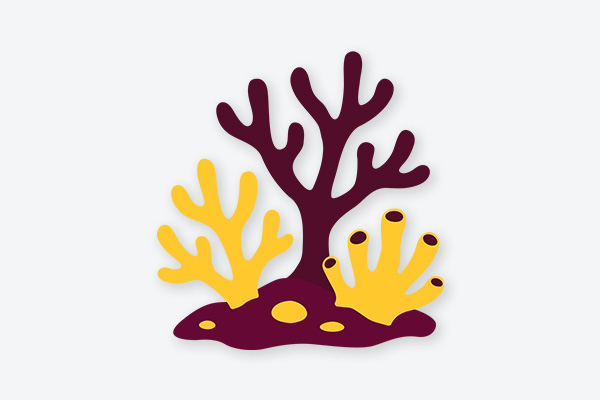 CORAL Logo, and maroon and gold coral graphic