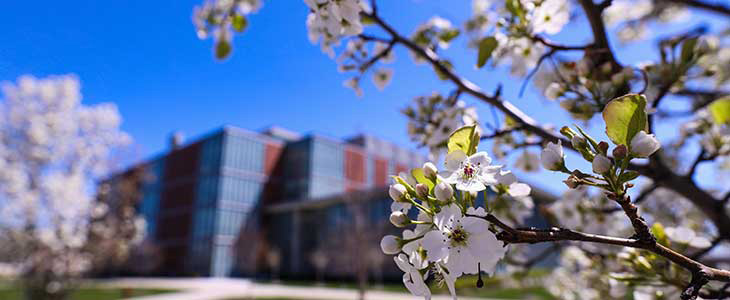 Picture with Plant and EHS building in background