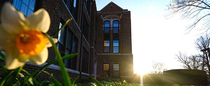 Picture of flower with sunrise and warriner hall in background